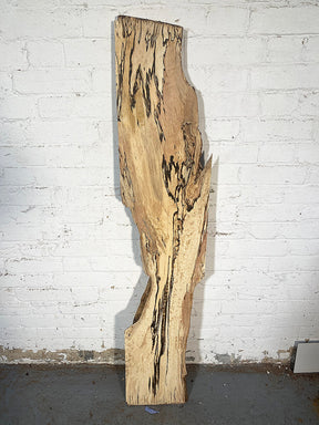 Hornbeam - Spalted Character Board