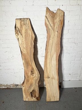 Hornbeam - Spalted Live Edge Boards