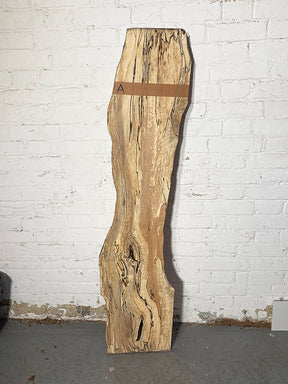 Hornbeam - Spalted Live Edge Boards