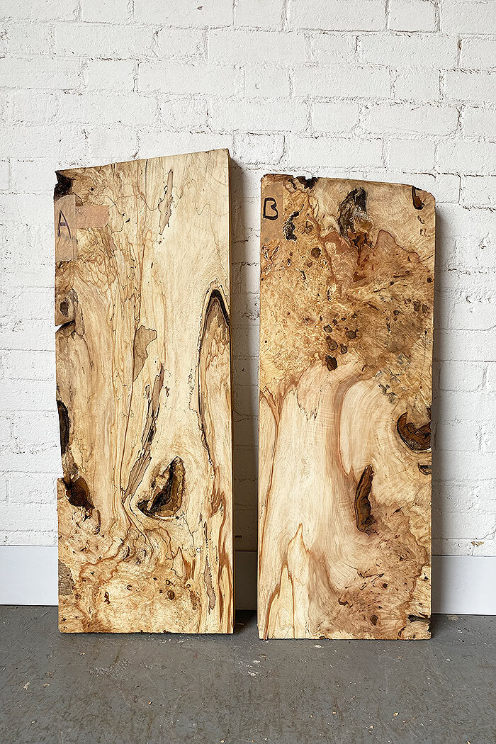 Horse Chestnut - Character Boards