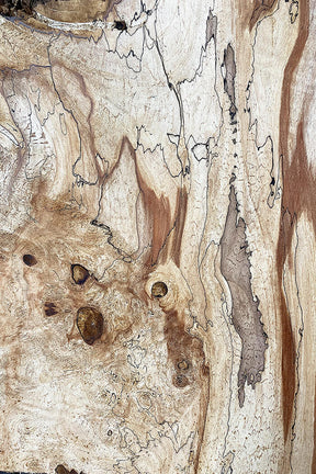 Horse Chestnut - Character Boards