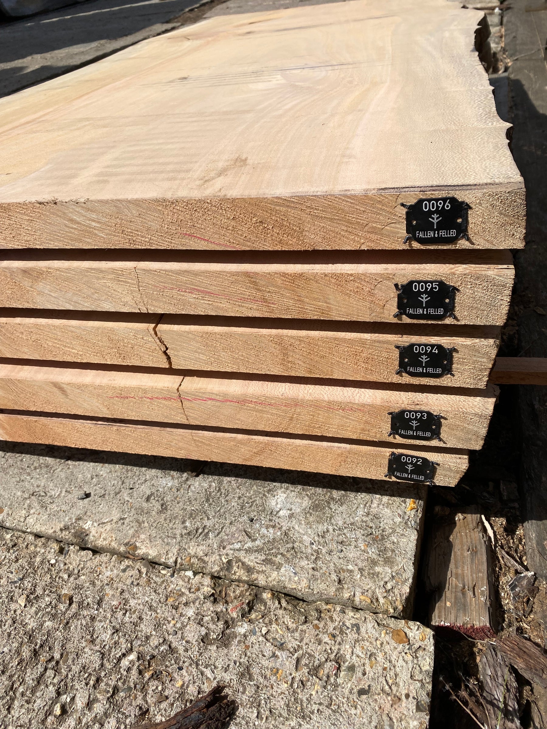 London plane - slab S0092