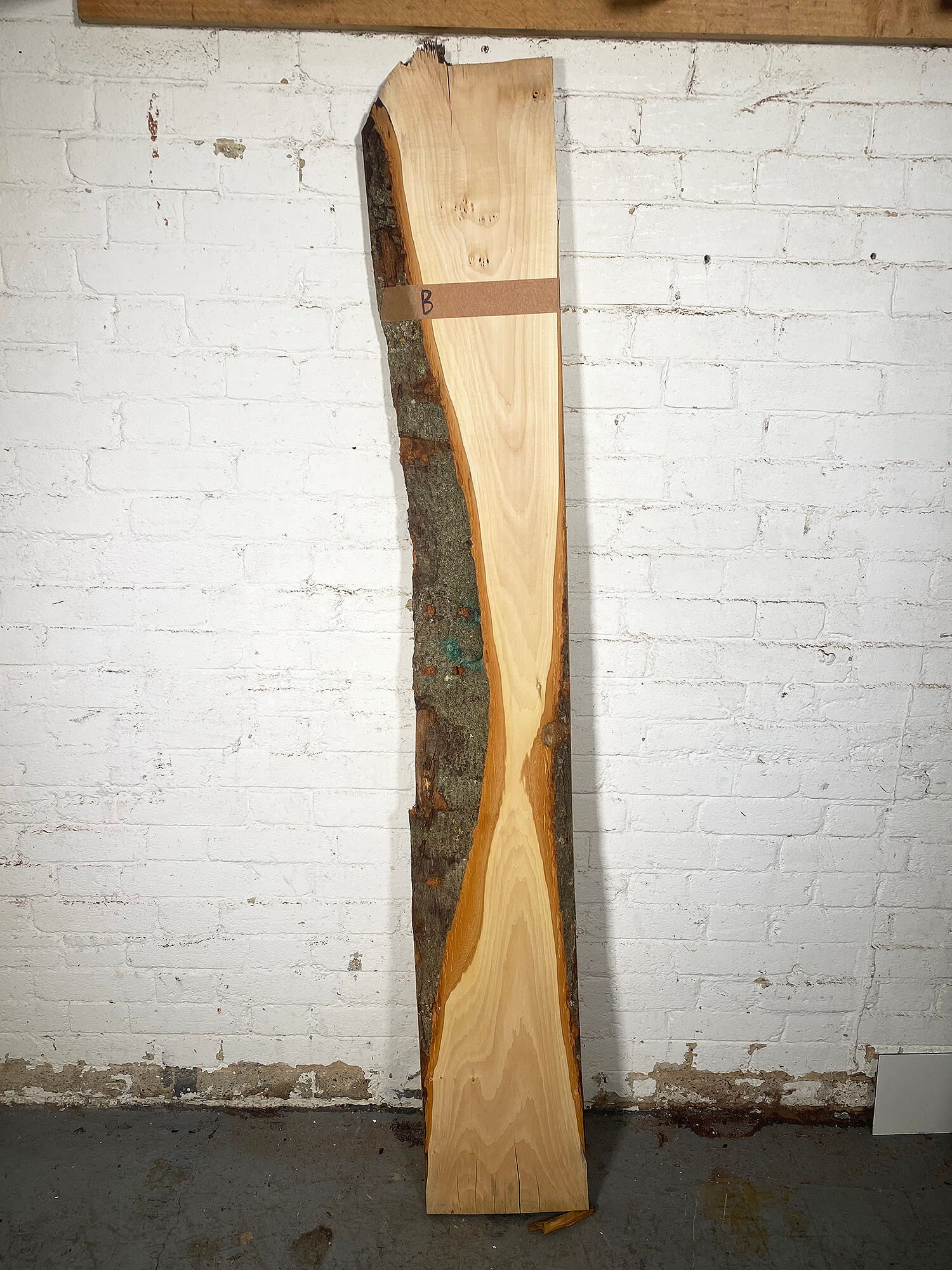 Lime - Waney Edge Boards