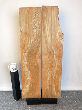 London Plane - Bookmatched Pair