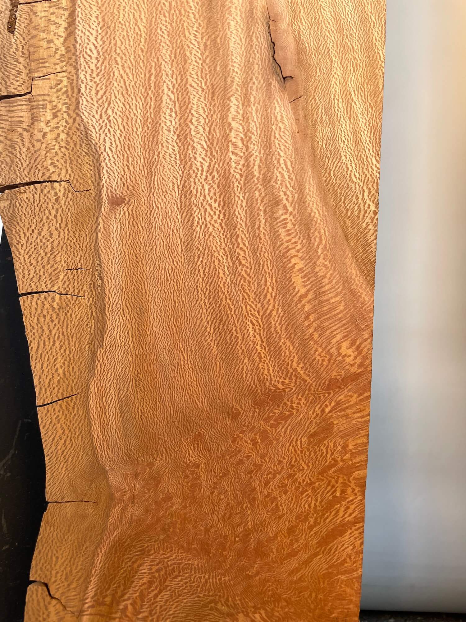 London Plane - Burr Boards