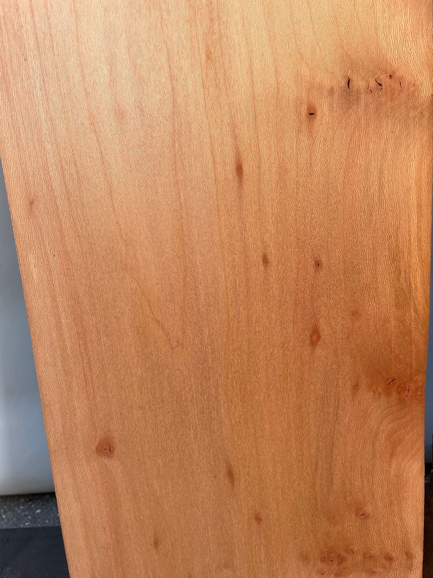 London Plane - Burr Boards