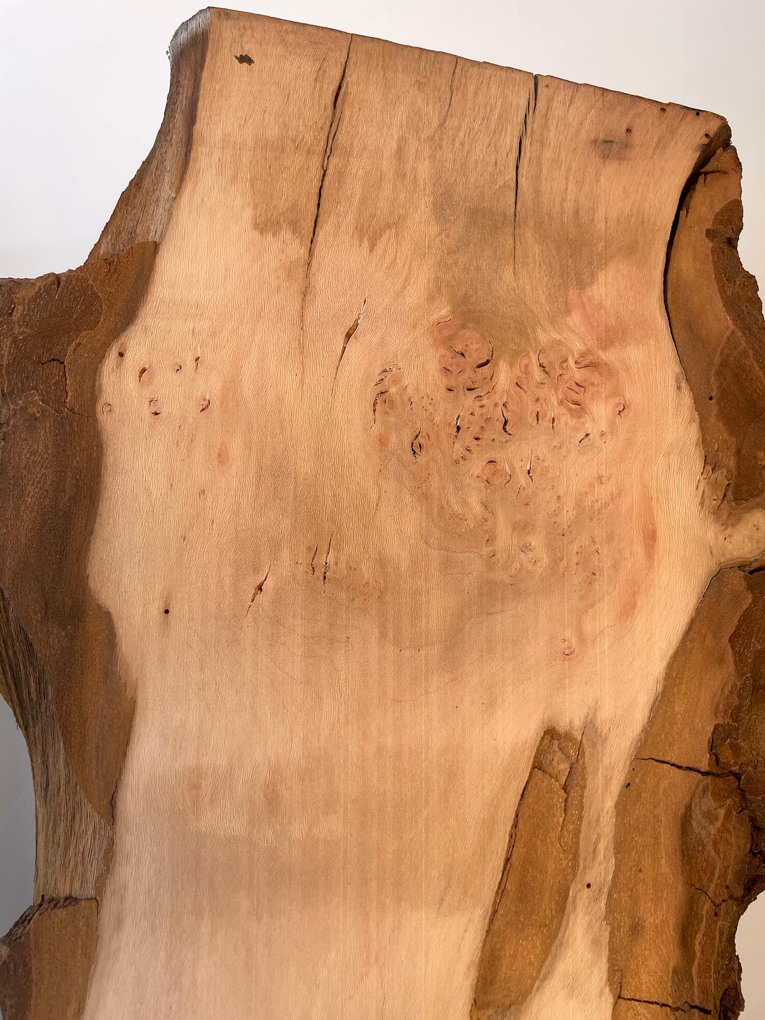 London Plane - Burr Boards