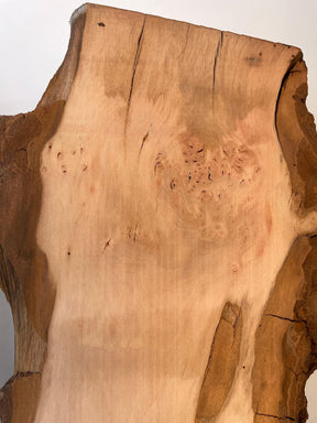 London Plane - Burr Boards