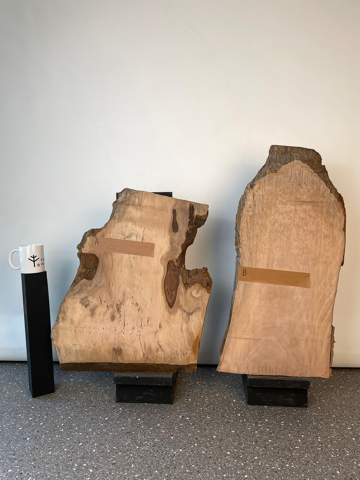 London Plane - Burr Pair