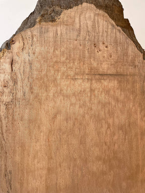London Plane - Burr Pair