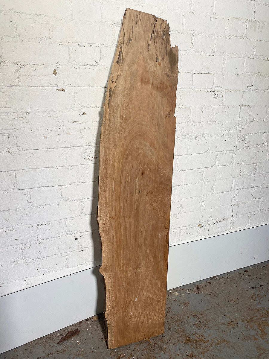 London Plane - Character Board