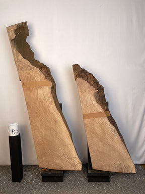 London Plane - Character Boards
