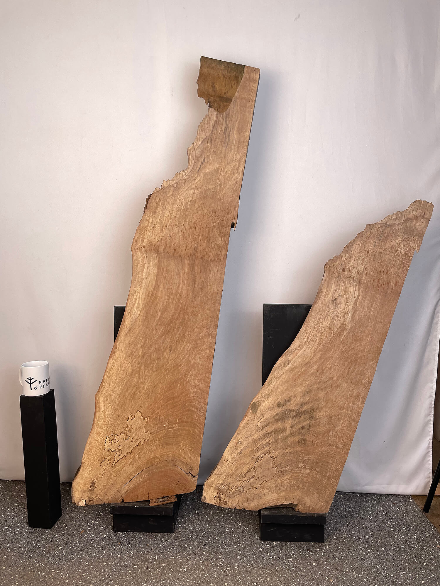London Plane - Character Boards