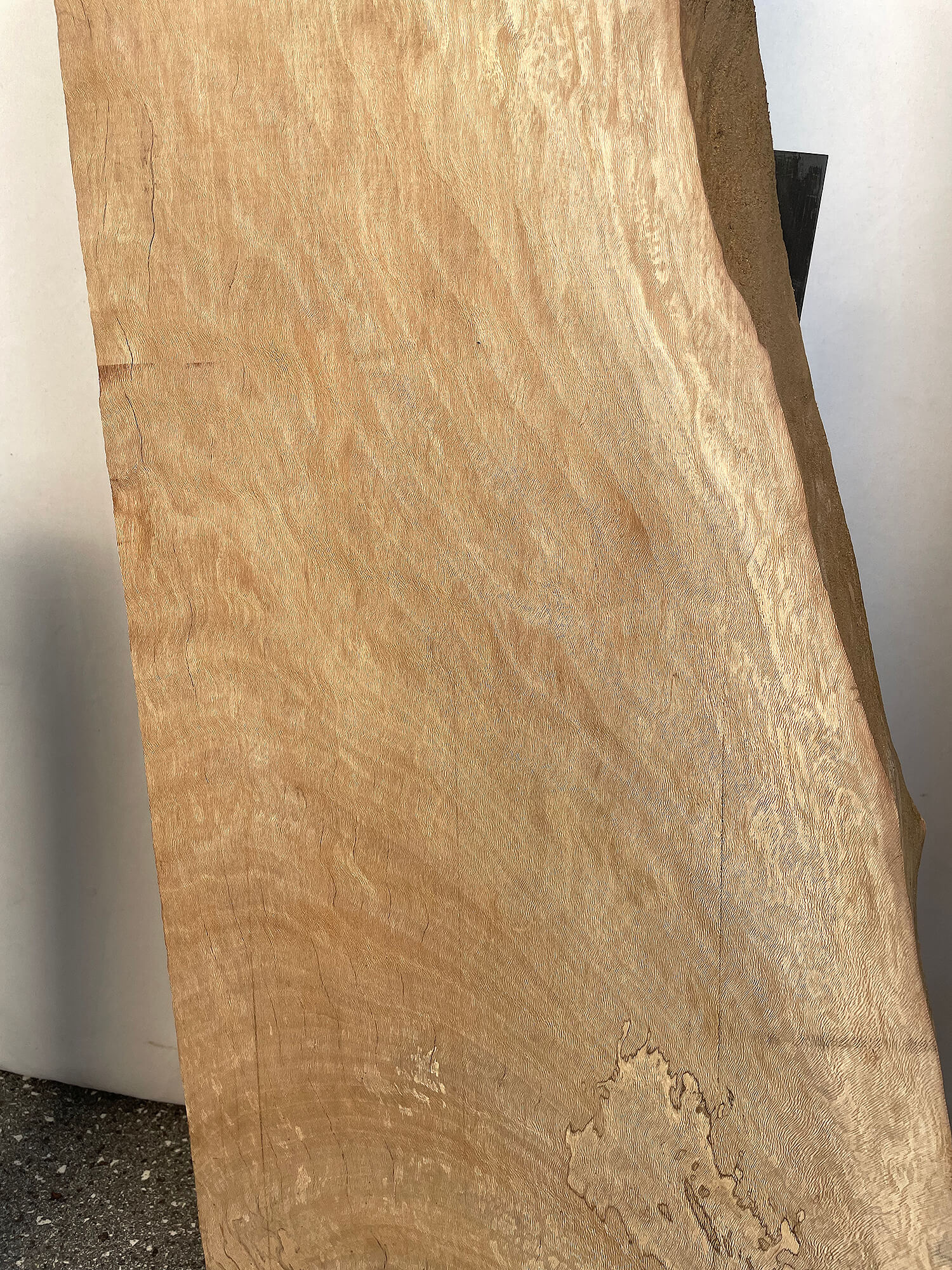 London Plane - Character Boards