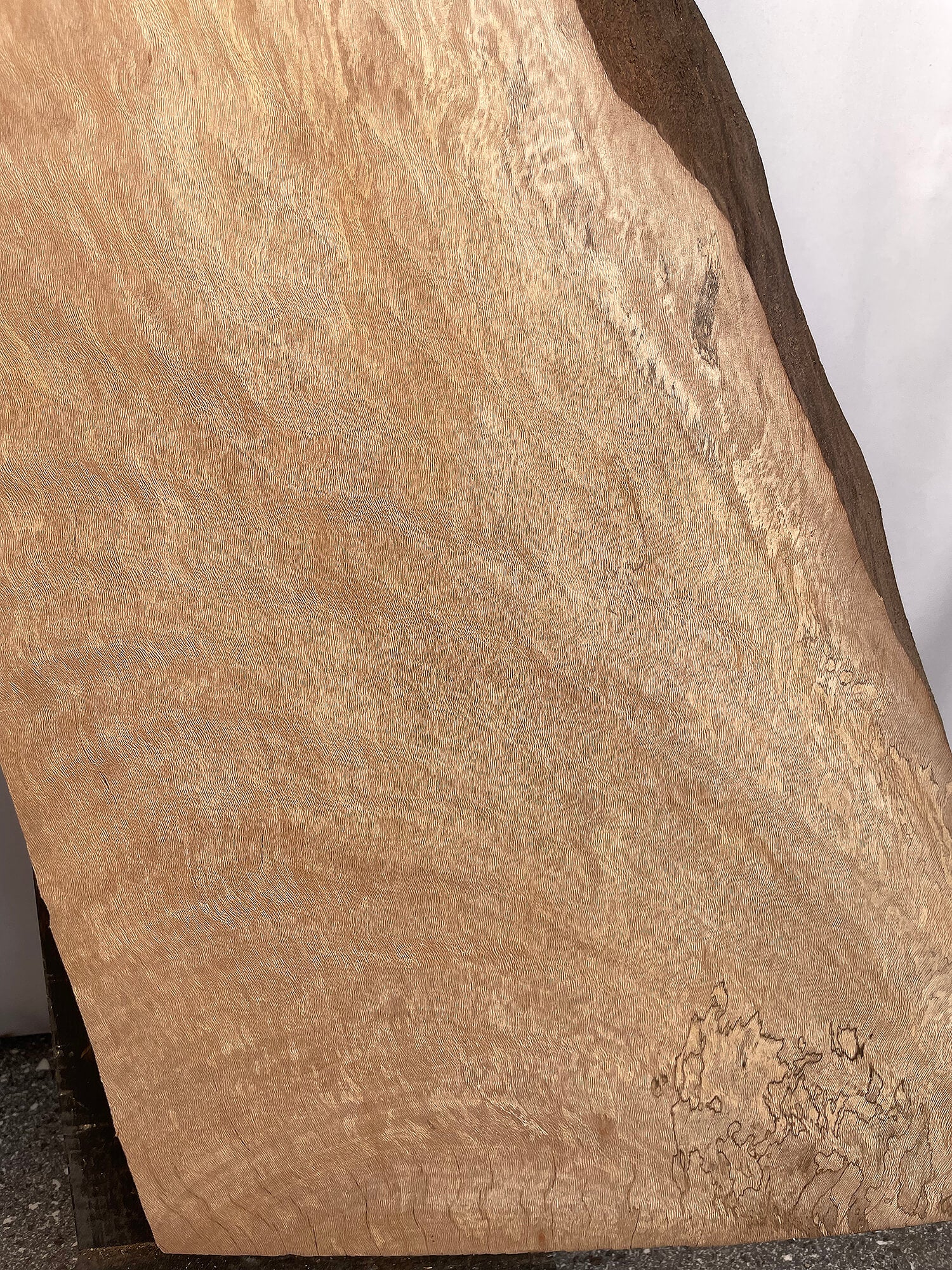 London Plane - Character Boards