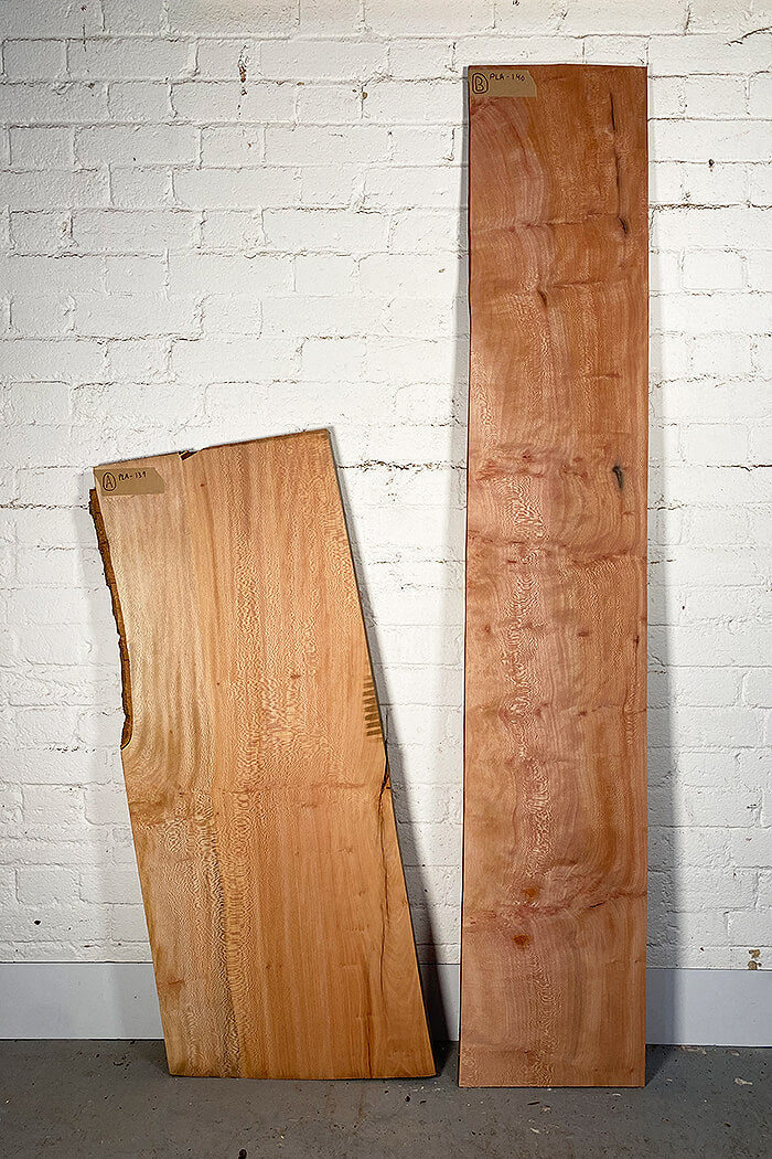 London Plane - Character Boards