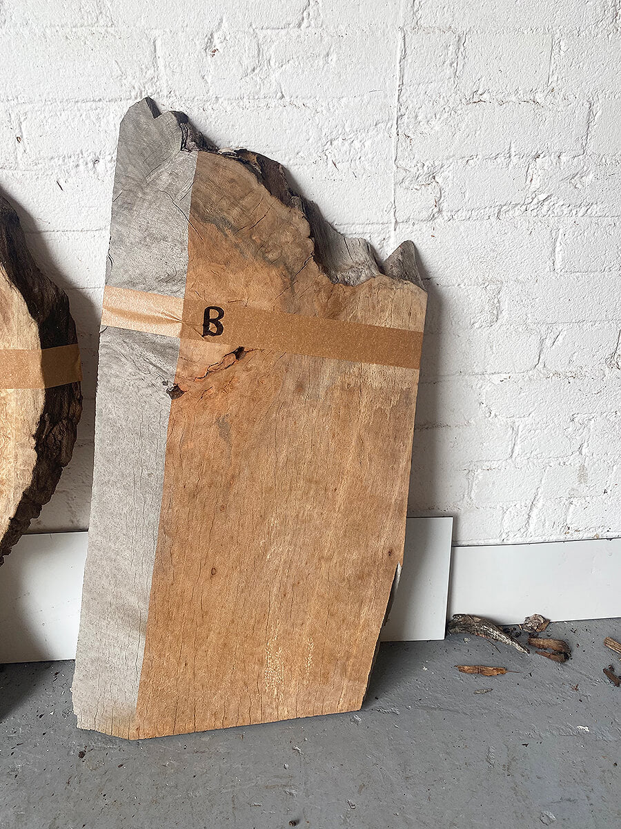 London Plane - Character Boards