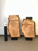 London Plane - Character Pair