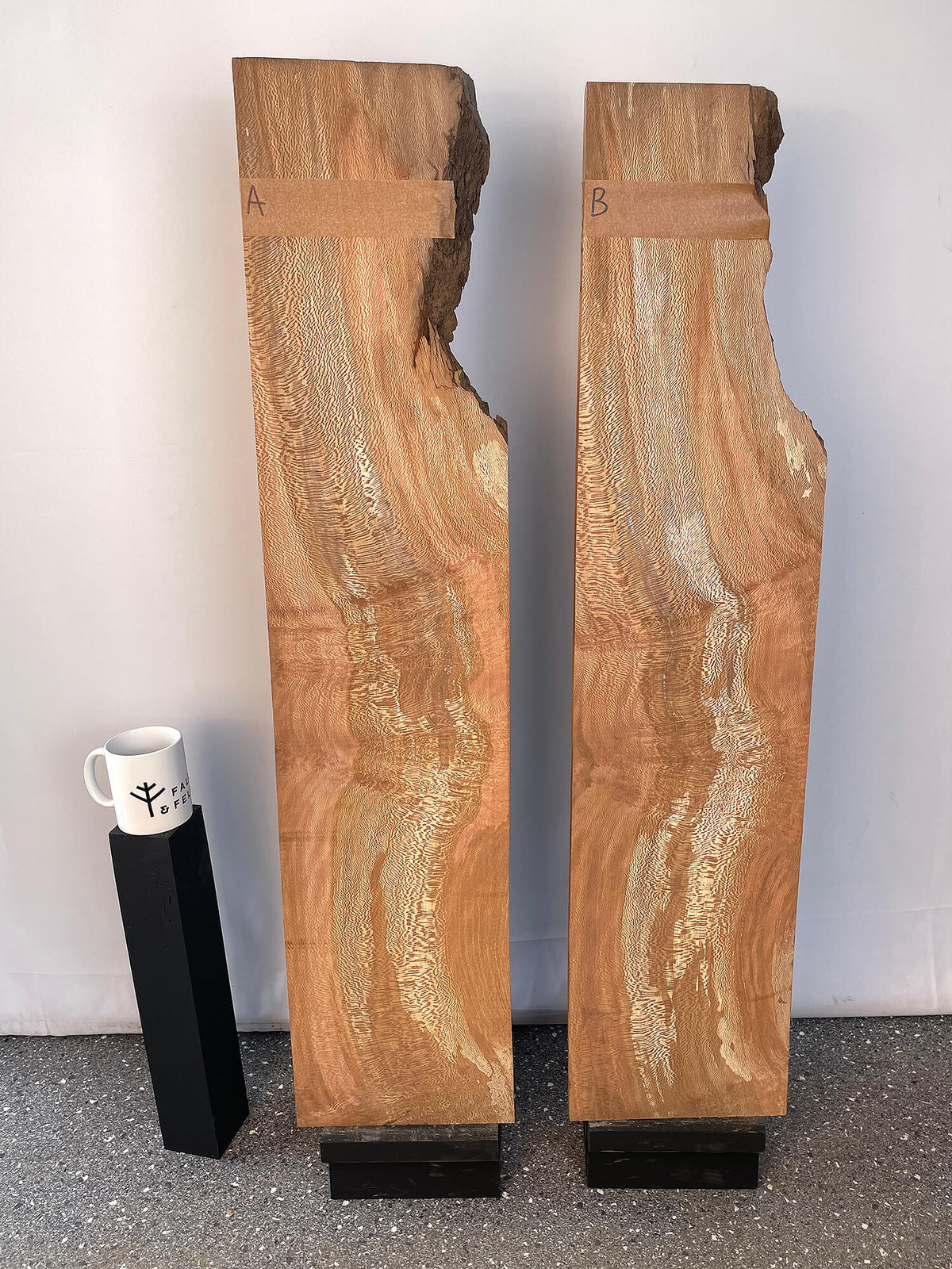 London Plane - Lace Boards