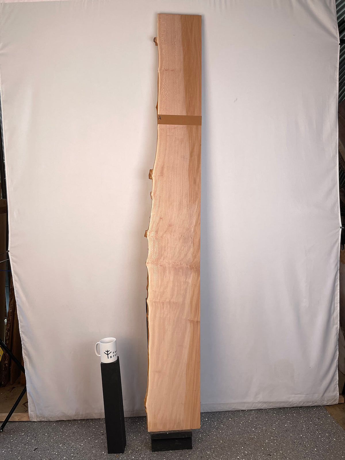 London Plane - Lacewood Board
