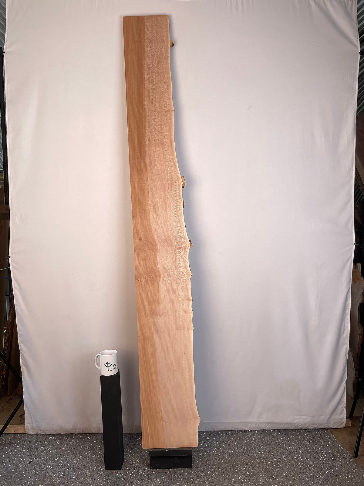 London Plane - Lacewood Board