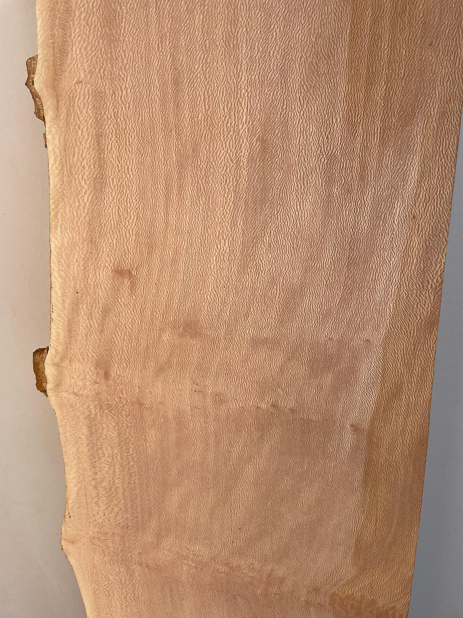 London Plane - Lacewood Board