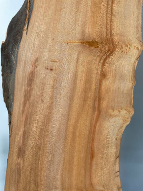 London Plane - Lacewood Boards