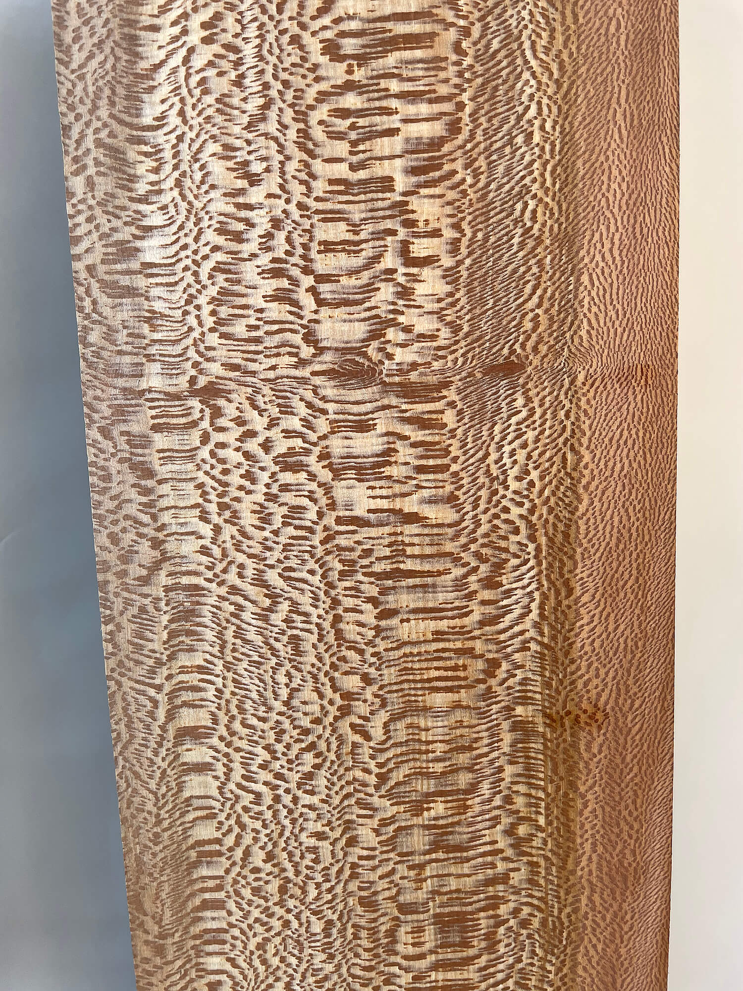 London Plane - Lacewood Boards