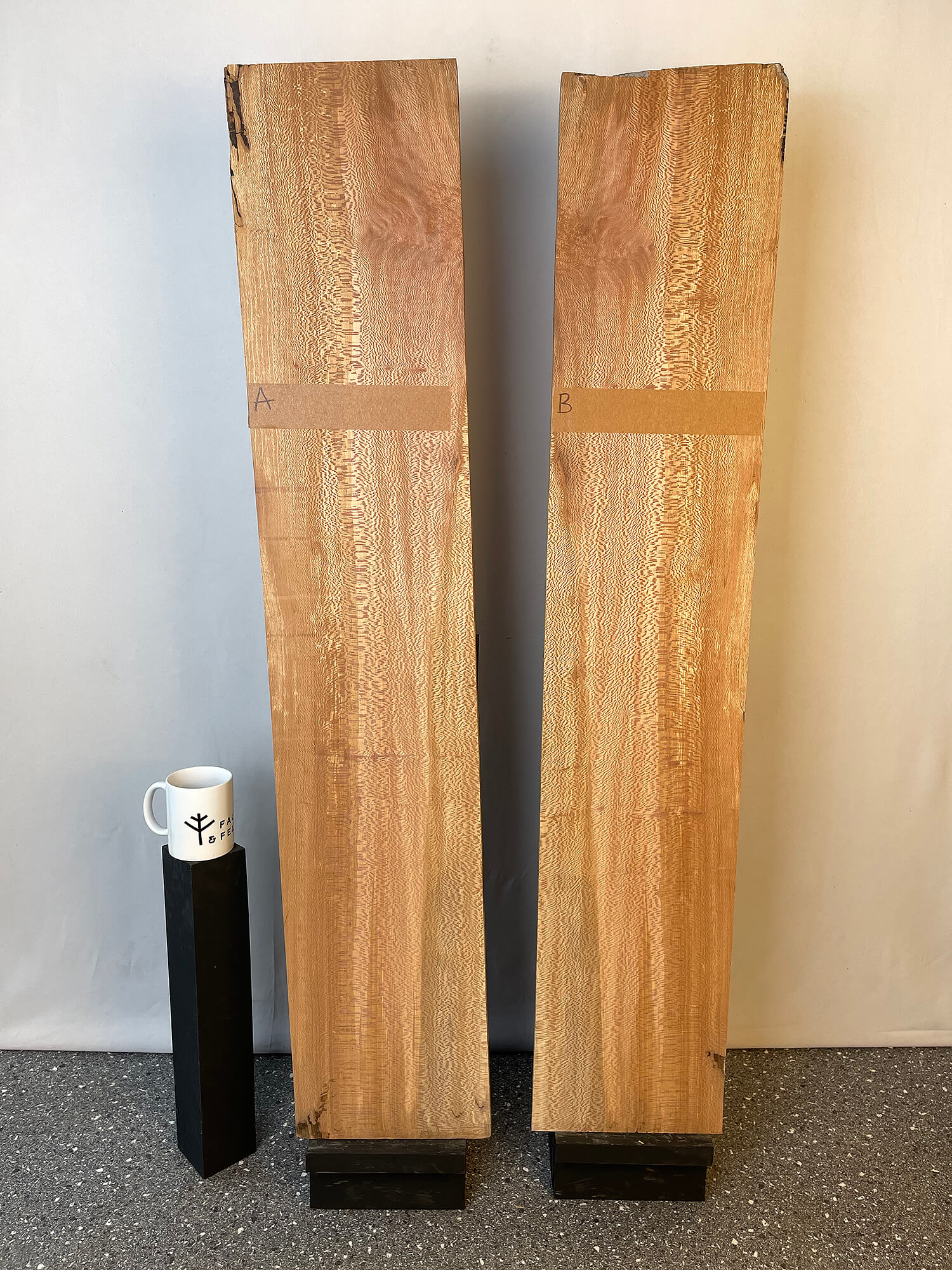London Plane - Lacewood Pair