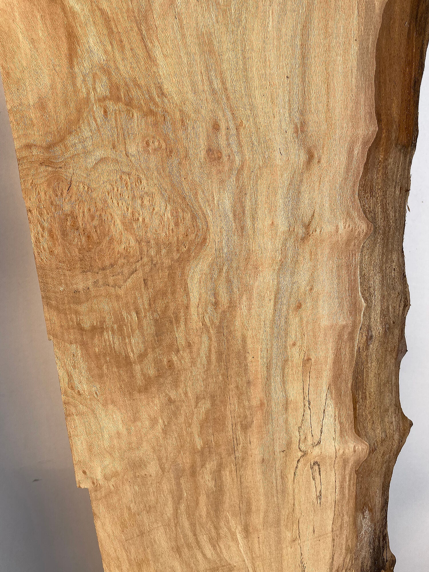 London Plane - Live Edge Boards