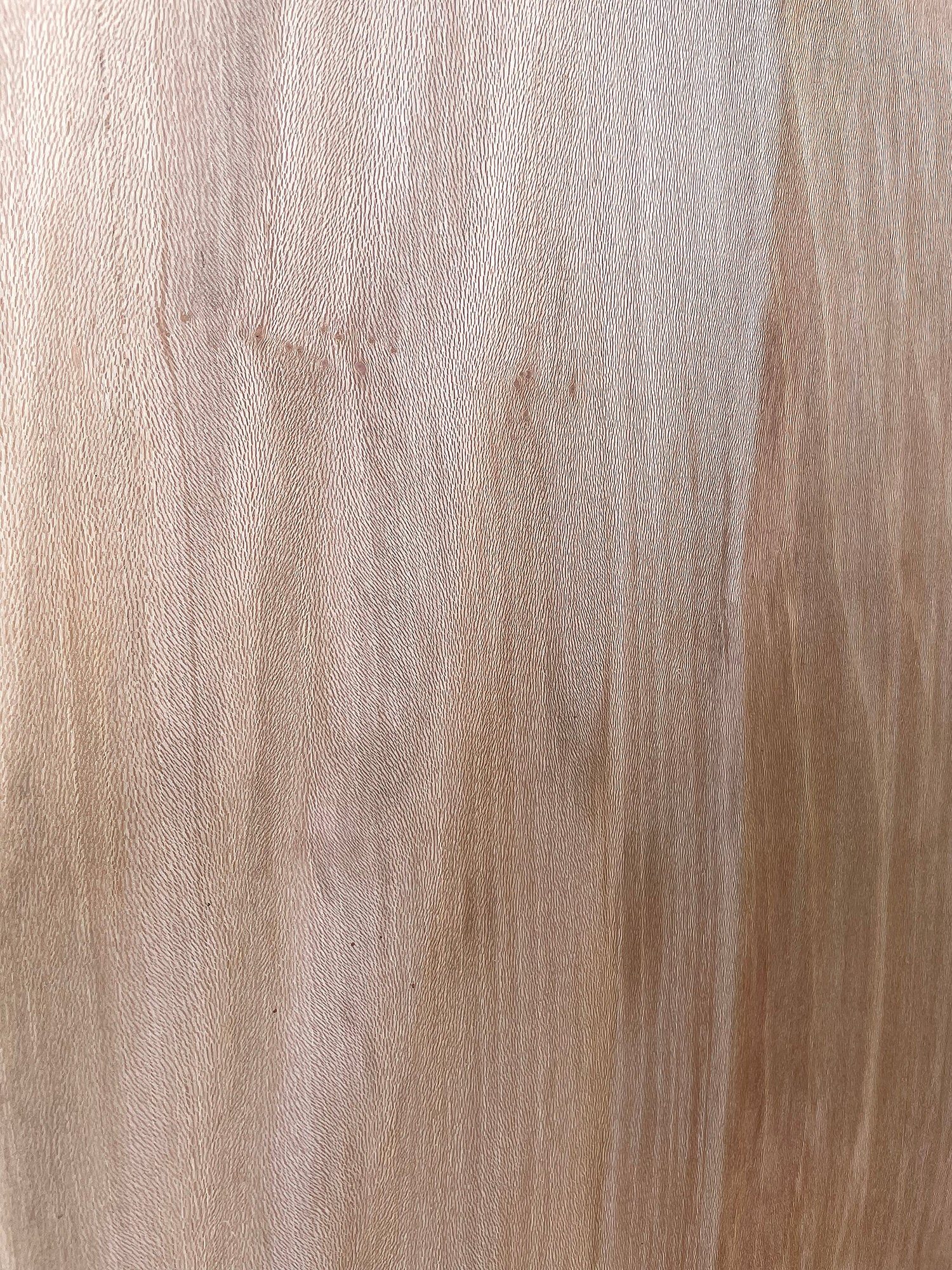 London Plane - Live Edge Boards