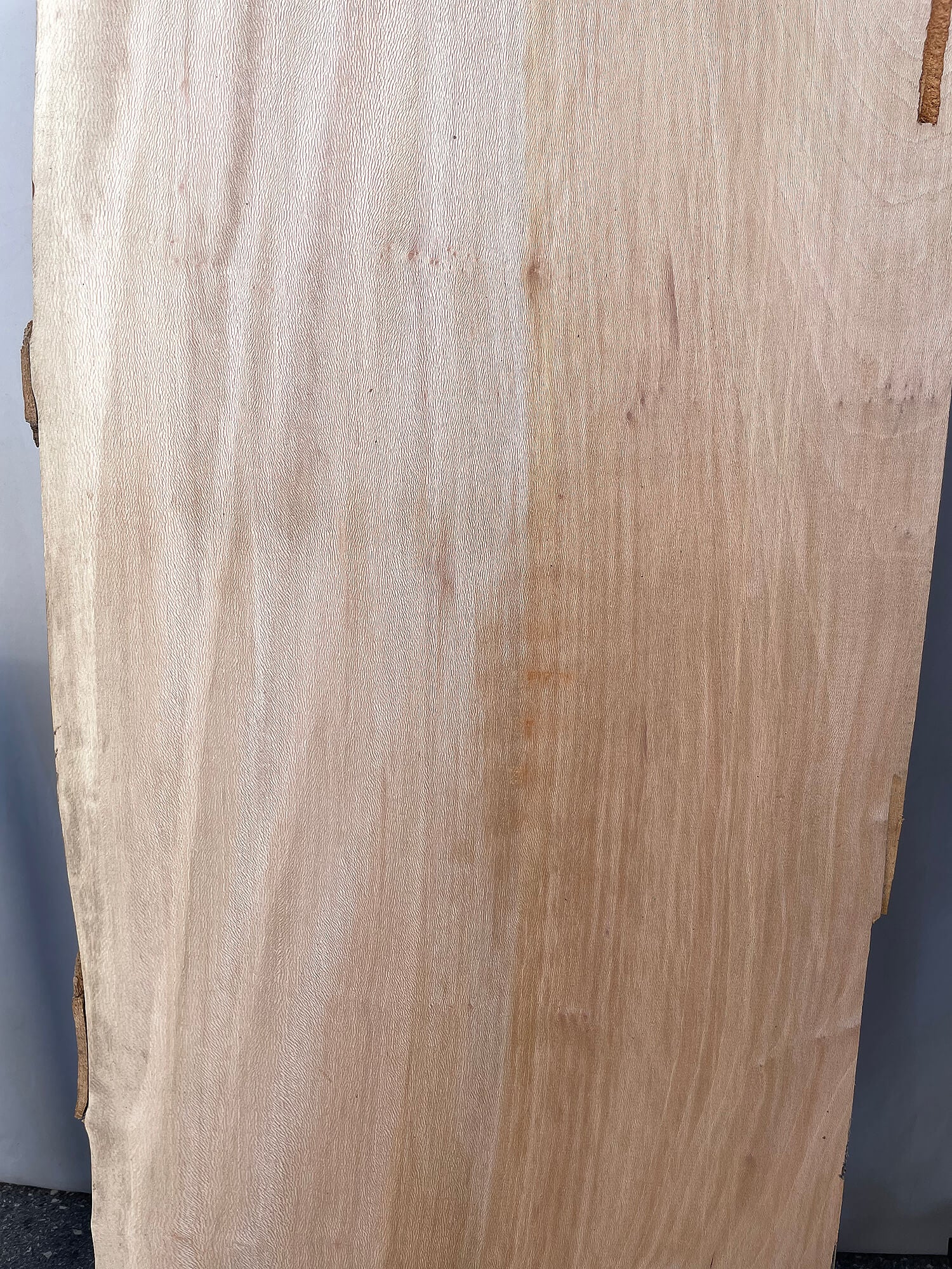 London Plane - Live Edge Boards