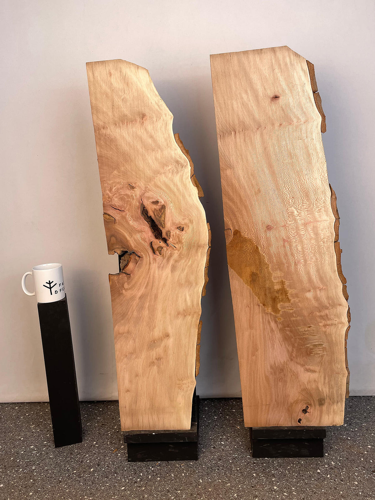 London Plane - Live Edge Boards