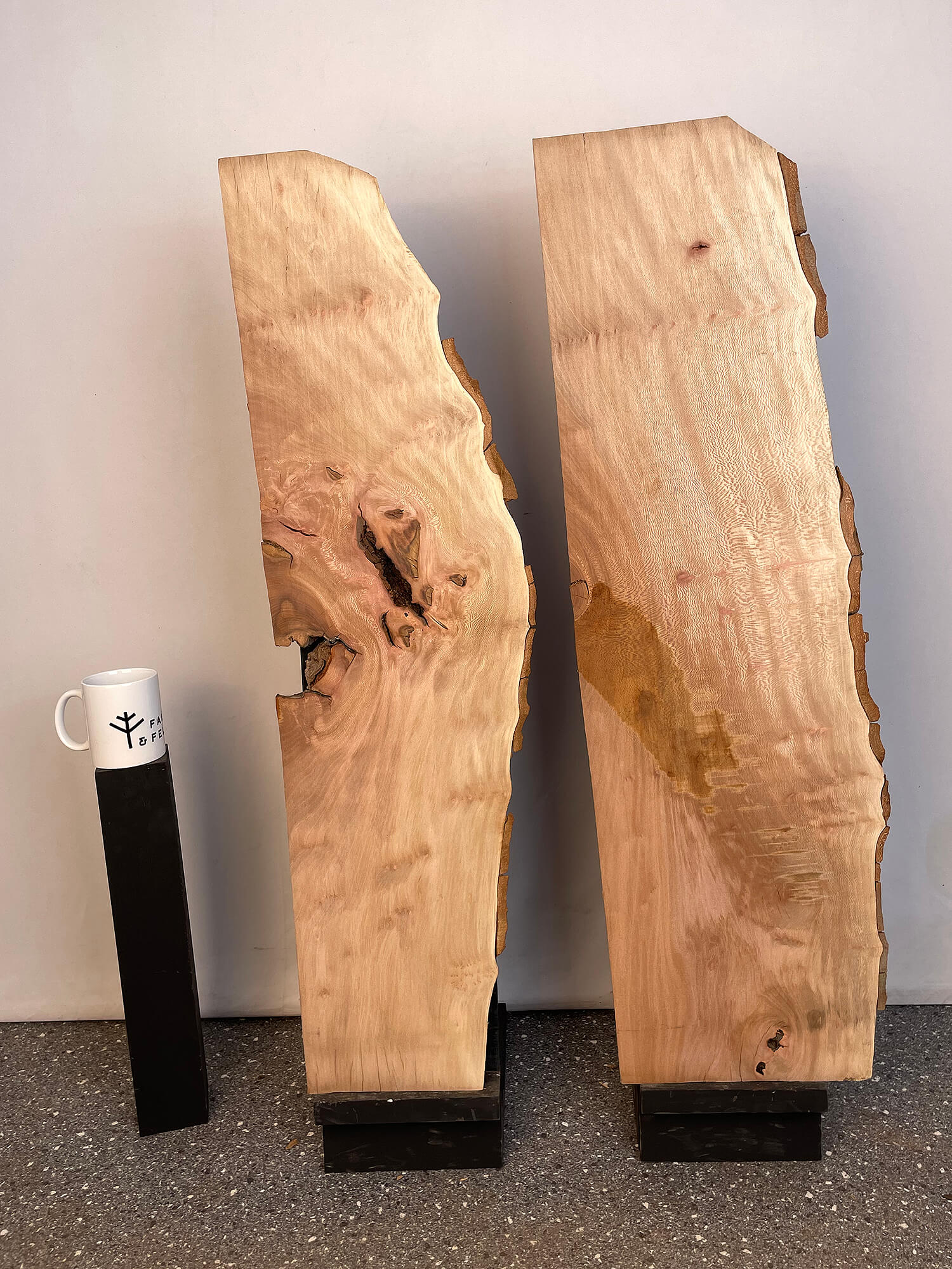 London Plane - Live Edge Boards