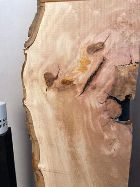 London Plane - Live Edge Boards