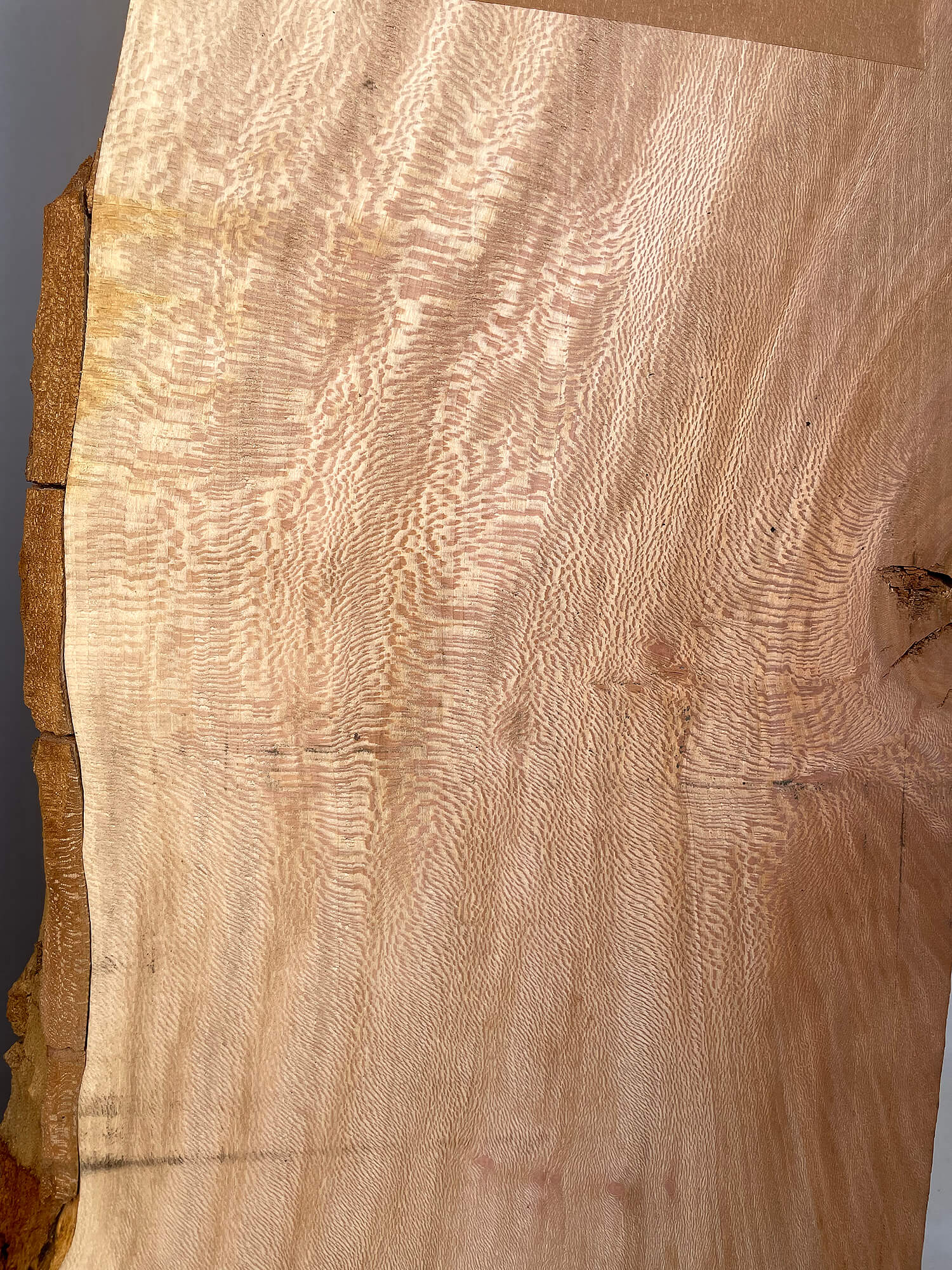 London Plane - Live Edge Boards