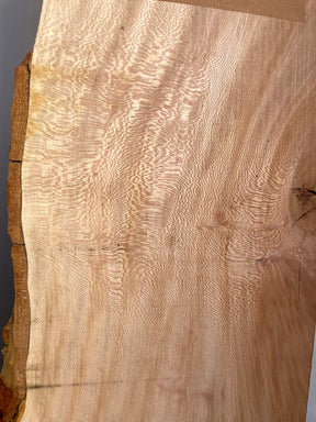 London Plane - Live Edge Boards