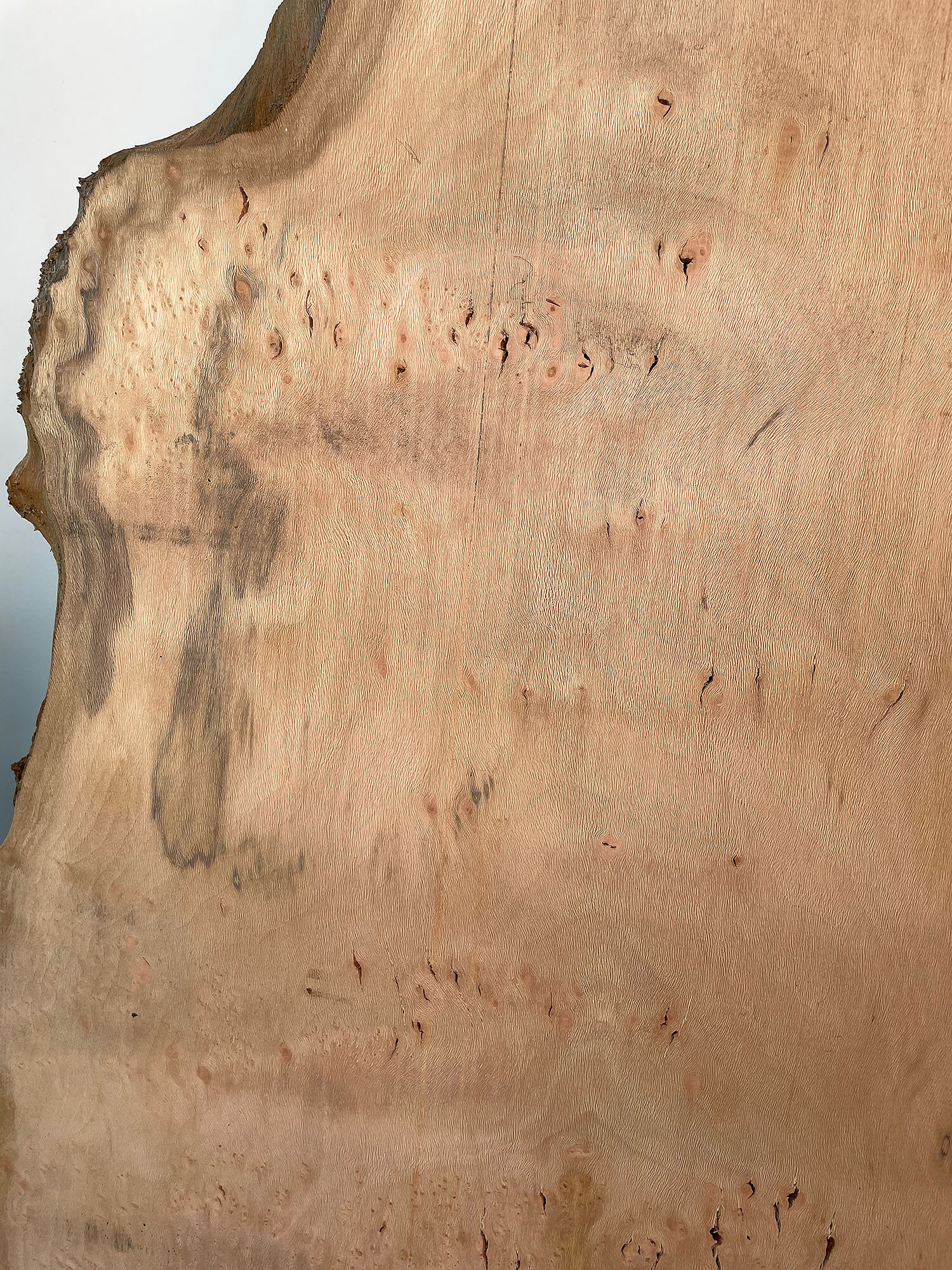 London Plane - Live Edge Boards