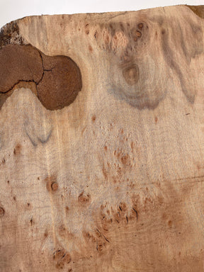 London Plane - Live Edge Boards