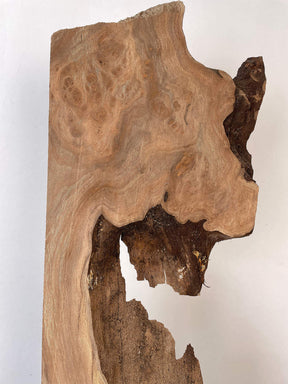 London Plane - Live Edge Burr Board