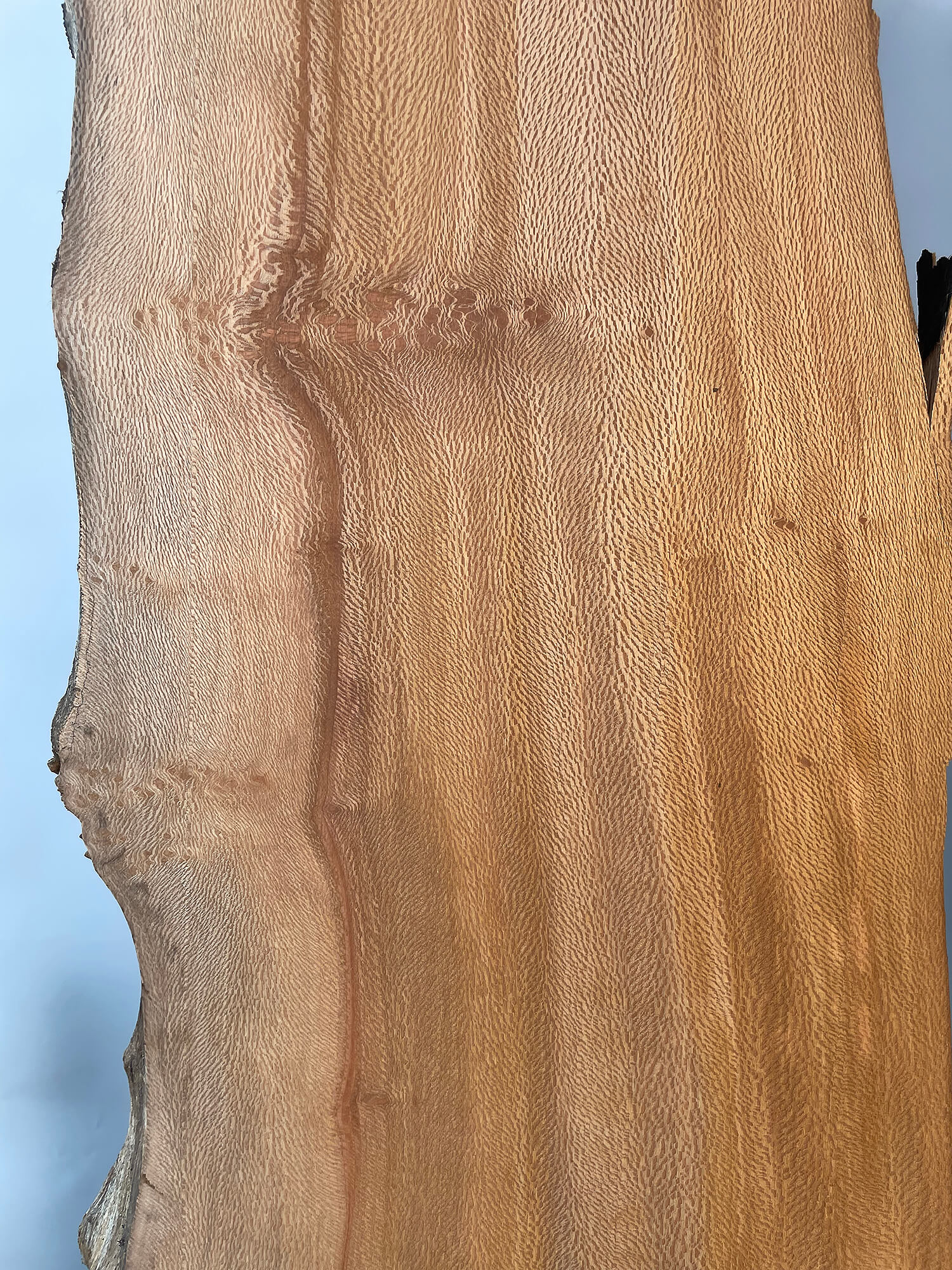 London Plane - Live Edge Lace Boards