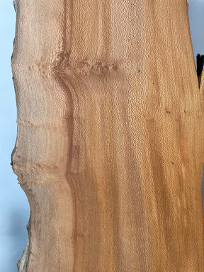 London Plane - Live Edge Lace Boards