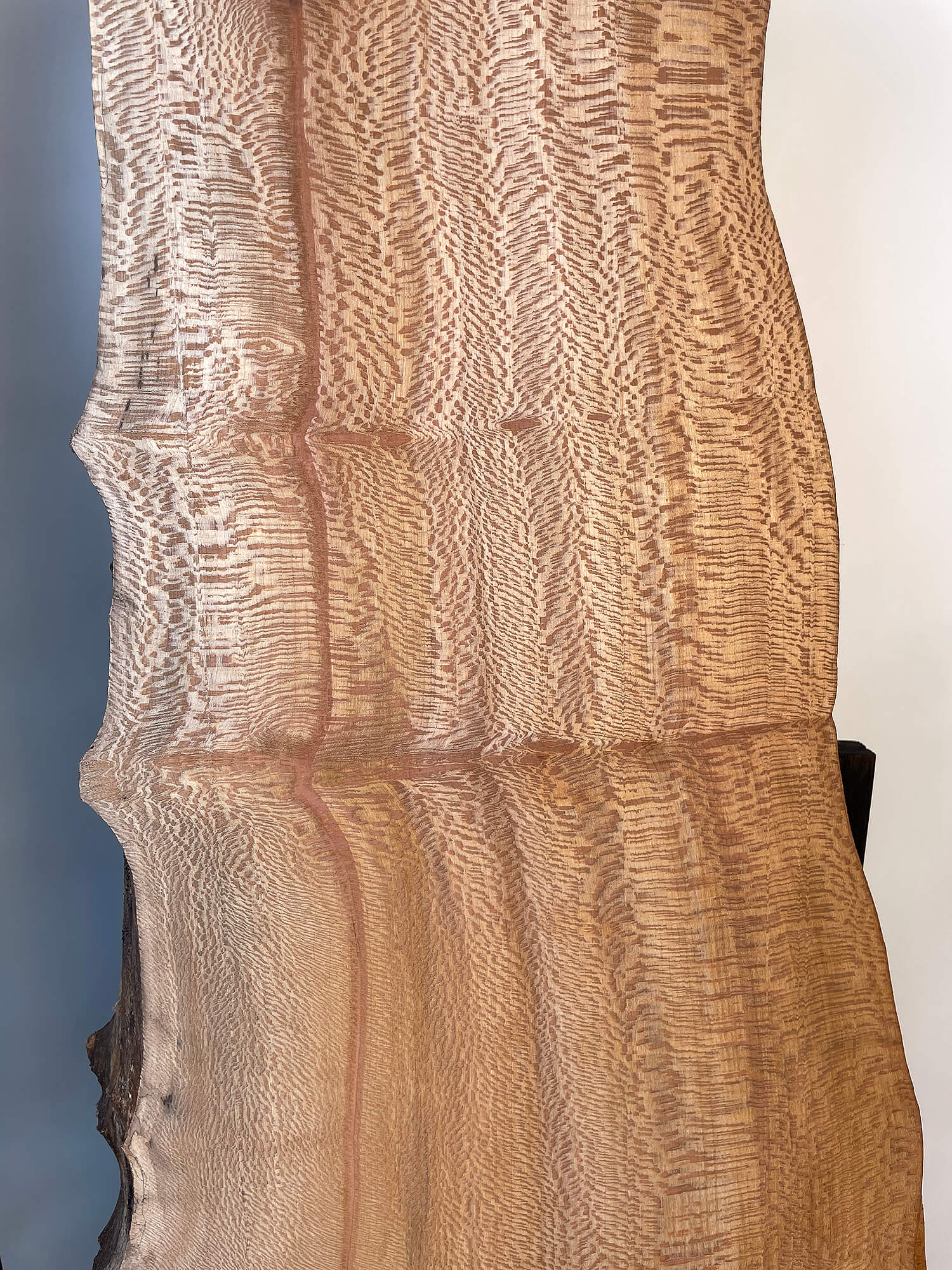 London Plane - Live Edge Lace Boards