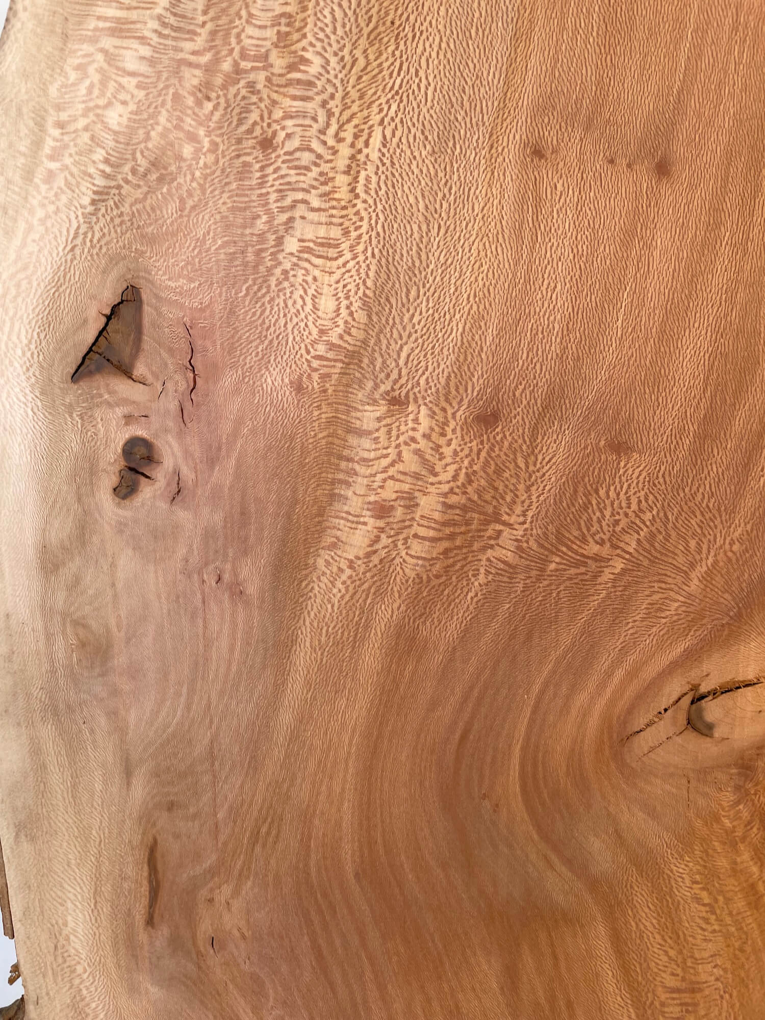 London Plane - Live Edge Lace Boards