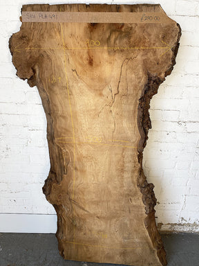 London Plane - Live Edge Slab