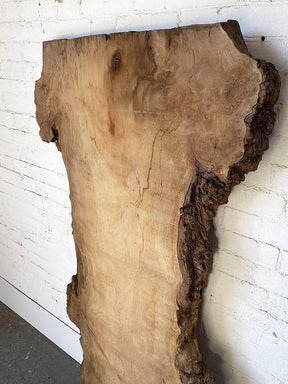 London Plane - Live Edge Slab