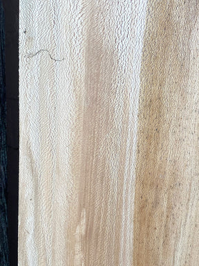 London Plane - Multiple Boards
