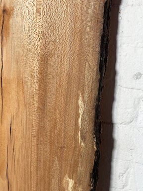 London Plane - Multiple Boards