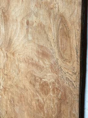 London Plane - Multiple Boards