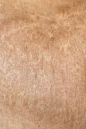 London Plane - Pippy Board